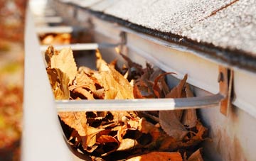 Ringwood gutter cleaning companies